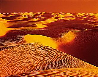 国产恐怖游戏《吃香》主视觉更新，全新道具介绍视频上线